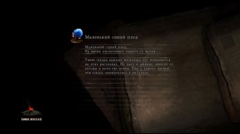 [PS3]Dark Souls II + DLC [EUR/RUS]